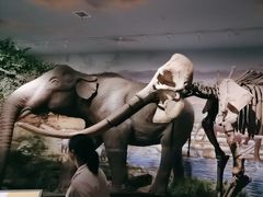 -湖南省地质博物馆