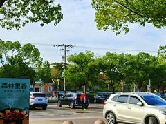 -共青国家森林公园-南大门停车场