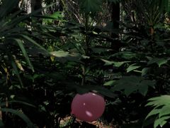 -苏州河梦清园环保主题公园