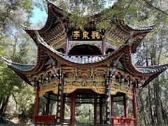 -蝴蝶泉公园