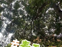 -阿育王寺