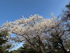 -景福宫