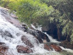 -红山村