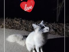 -鬼笑石后山停车场
