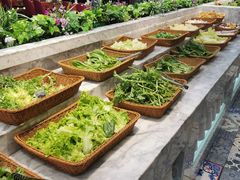 自助取餐区-火锅岛潮牌自助餐厅(天津天佑城店)