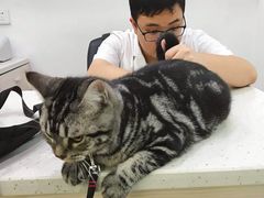 -贝利宠物医院·骨科·眼科·肿瘤转诊中心(南坪诊疗中心)