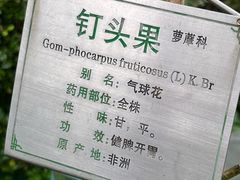 -广州神农草堂中医药博物馆