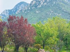 -禅宗少林·音乐大典