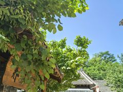 -倒盏民俗文化村