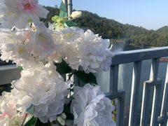 -石燕湖生态旅游景区