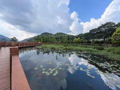 -广州市石门国家森林公园