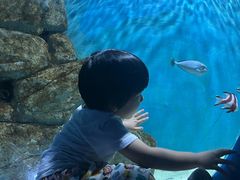-苏州海洋馆