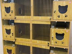 -百信宠物医院(东升街店)