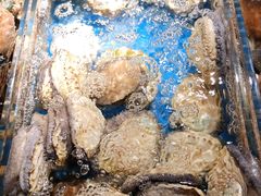 -徐记海鲜(南油永新汇店)