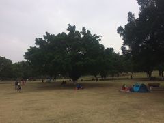 -东莞植物园