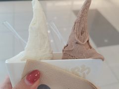 -野人先生Gelato(上海长宁龙之梦店)