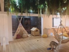 -Husky Go! 哈士奇体验馆·宠物咖啡厅狗咖