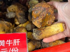 -太婆天府山珍酒楼(亚运村店)