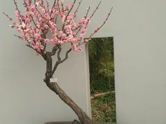 -糕大师•手作鲜糕点(芦庄店)