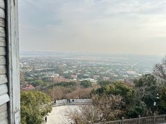 -上海佘山国家森林公园西佘山园