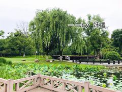 景点-橘子洲景区