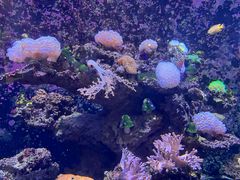 -海合安天津极地海洋公园