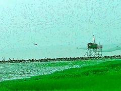 -南汇嘴观海公园