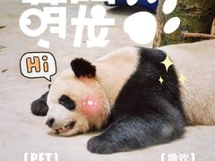 -杭州动物园