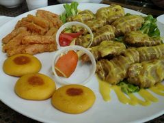 -红栌温泉山庄生态美食餐厅