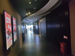 -卢米埃影城(住总万科杜比全景声激光店)