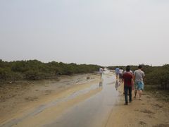 -北海金海湾红树林生态旅游区