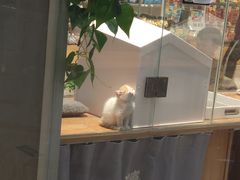 -狗道宠物(常熟印象城店)