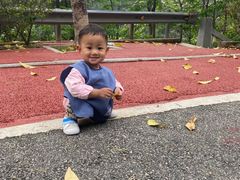 -火炉山森林公园