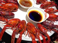 -红盔甲·小龙虾(天钥桥店)