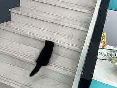 -宠颐生宠物医院·骨外科·犬猫全科诊疗中心(池州店)