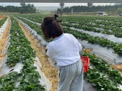 -光明小镇欢乐田园