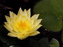 -清溪水库