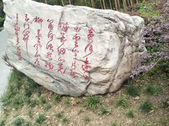 -唐城墙遗址公园