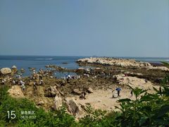 -养马岛旅游度假区