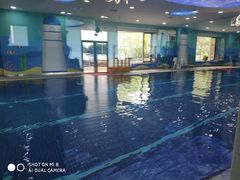 -小泳士游泳训练基地(芥园西道店)