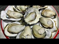 -二子海鲜大排档(太阳城店)