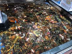 -盒马鲜生(双清路店)