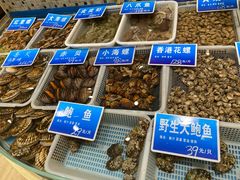 -双井轩(双井店)
