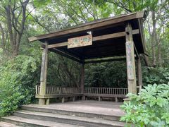 -上海吴淞炮台湾国家湿地公园