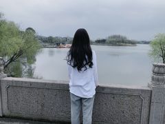 -杭州湾海上花田景区