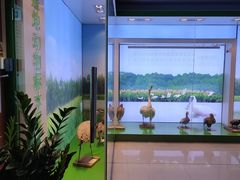 -大湾区中央湿地公园