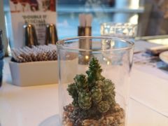 -香港皇家太平洋酒店