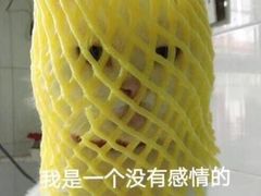 -品凯口腔(丰潭门诊)