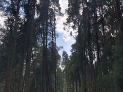 -寂照庵