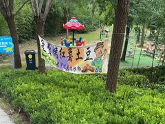 -西部长青自然儿童乐园